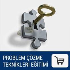 Problem Çözme Teknikleri Eğitimi