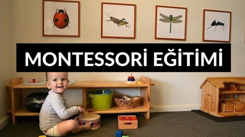 montessori eğitim modelleri