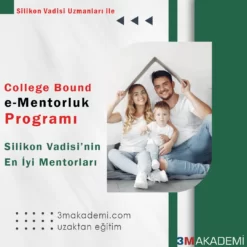 College Bound e-Mentorluk Programı